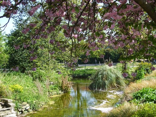 William Morris Gallery