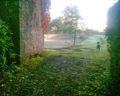 Kingswood Heritage Museum