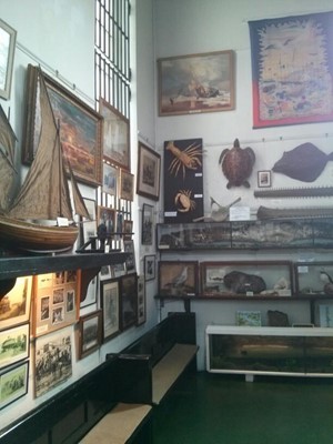 Hastings Fishermen's Museum