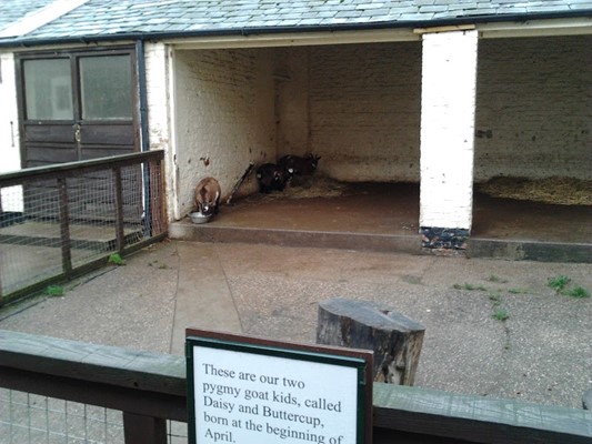 Sewerby Hall and Gardens