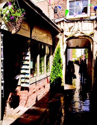 The Tailor of Gloucester