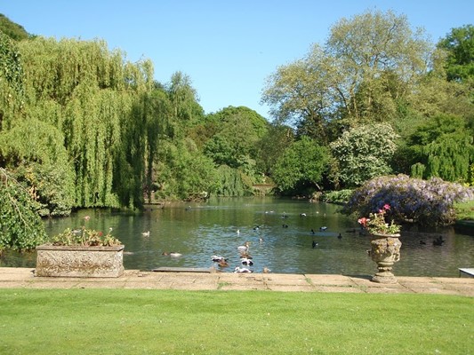 Busbridge Lakes