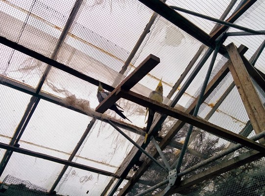 Pili Palas Nature World