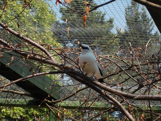 Camperdown Wildlife Centre