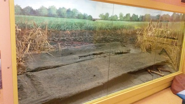 North Lincolnshire Museum