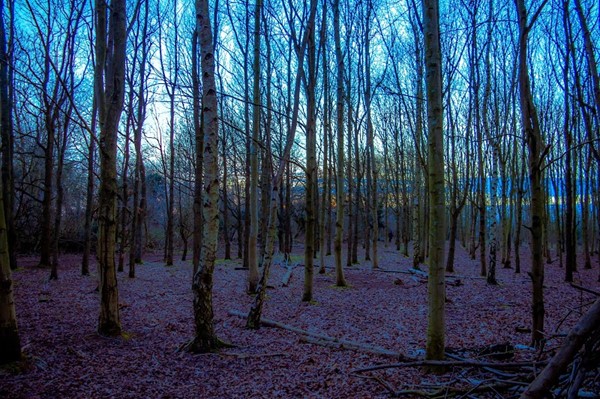 Northamptonshire Ironstone Railway Trust