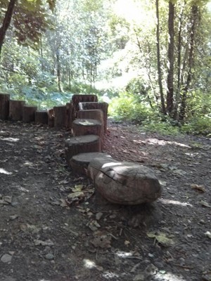 Kinver Edge and the Rock Houses