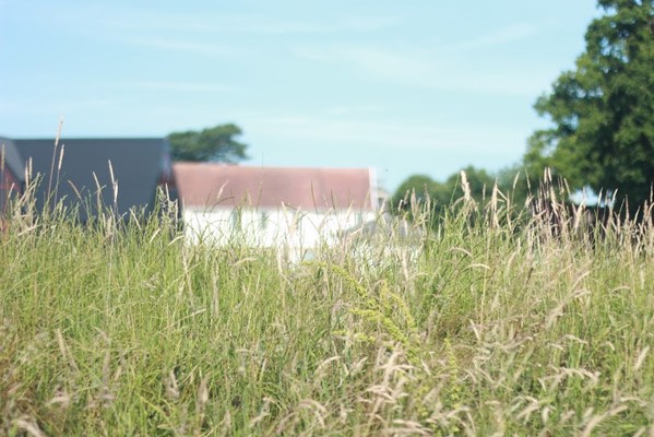 Museum Of East Anglian Life