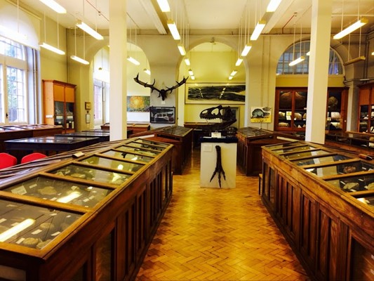 Lapworth Museum of Geology