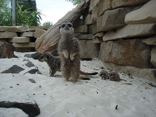 Calderglen Country Park