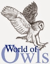World of Owls