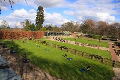 Thirsk Birds of Prey Centre (Falconry UK)