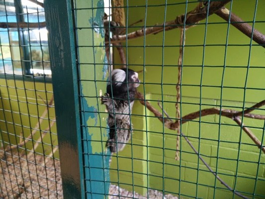 Ponderosa Rural Therapeutic Centre