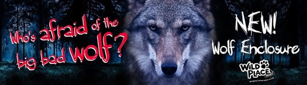 The Wild Place Project