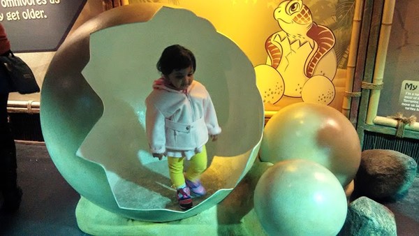 SEA LIFE Great Yarmouth