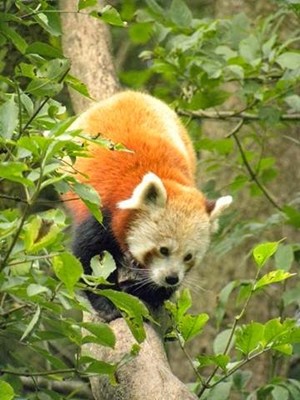 Galloway Wildlife Conservation Park