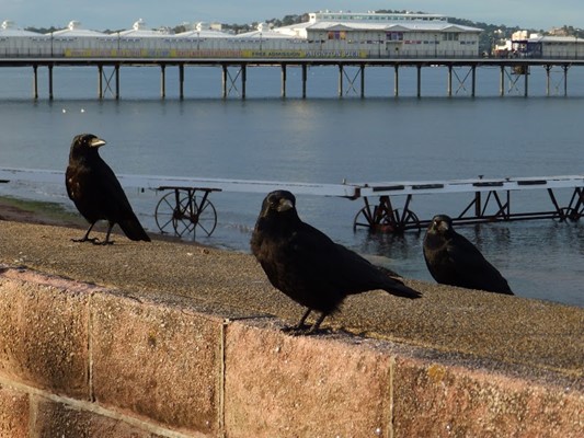 Paignton Beach
