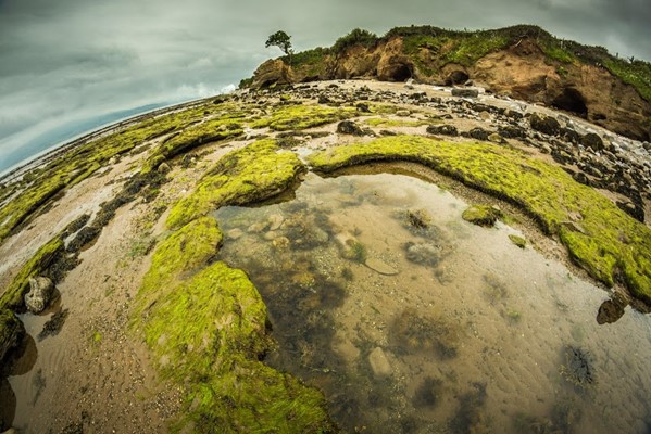 Lleiniog Beach Picnic Site