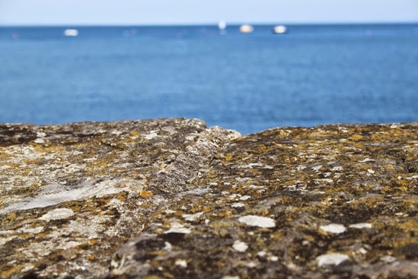 Saundersfoot Harbour