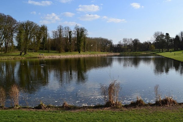 Lydiard Park