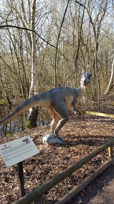 Wellington Country Park