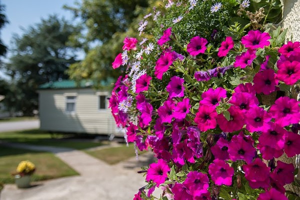 Trevarth Holiday Park
