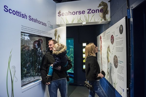 Macduff Marine Aquarium