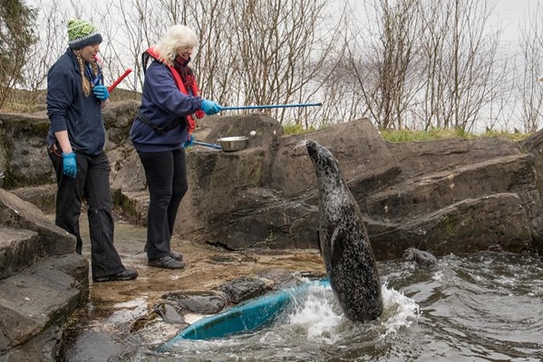 The Scottish Sea Life Sanctuary