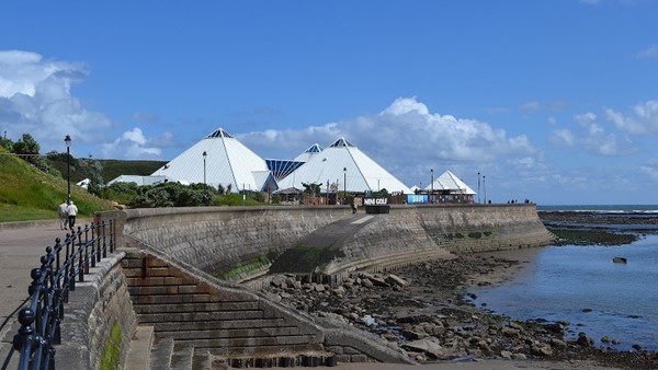 Scarborough SEA LIFE Sanctuary