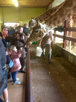 South Lakes Safari Zoo