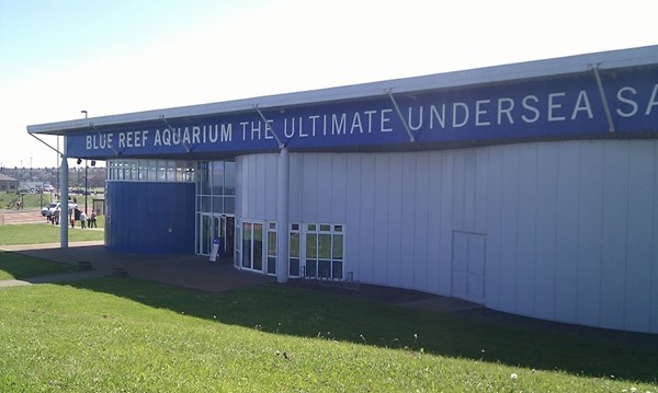 Blue Reef Aquarium