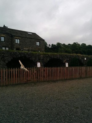 Yorkshire Dales Falconry Centre
