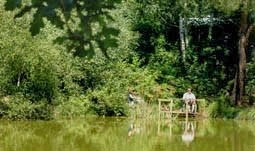 Beacon Hill Touring Park