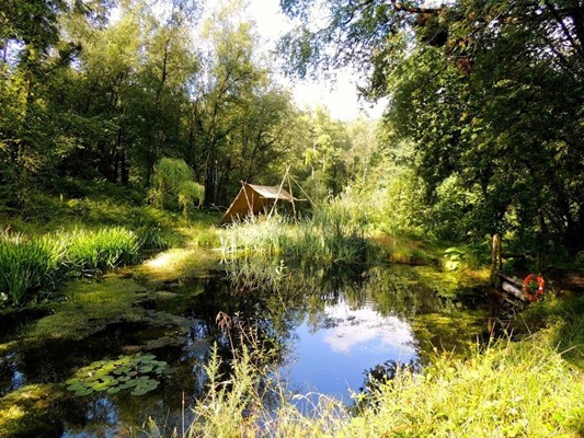 Woodland Workshop / Crafty Camping