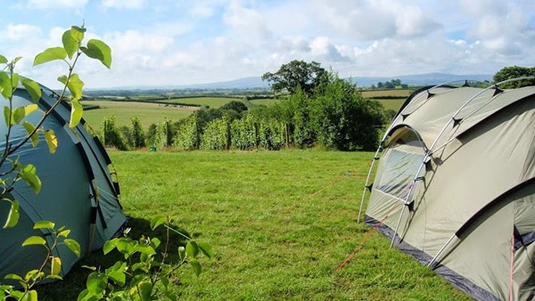 Ten Acres Vineyard Campsite