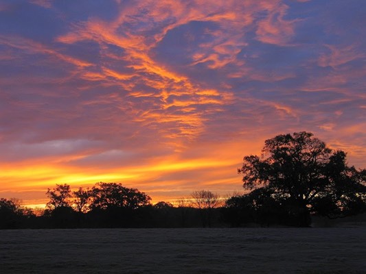 Riverside Caravan Park - Caravan Park in Plymouth