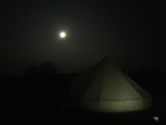 Botany Camping and Glamping