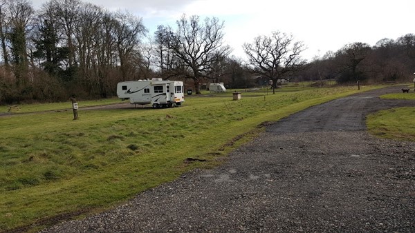 Three Tree's Campsite