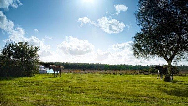Aldridge Hill Campsite