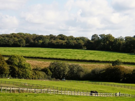 Cairds Camping & Caravan Site