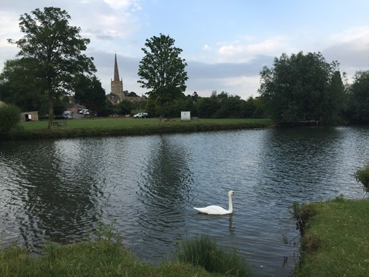 Bridge House Campsite