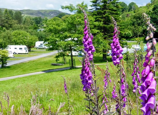 Woodlands Caravan Park