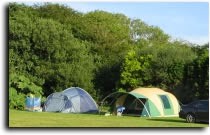 Brynawelon Touring & Camping Park
