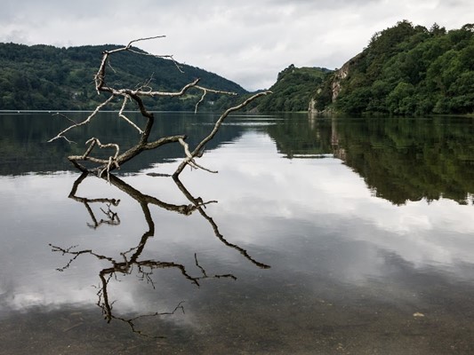 Llyn Gwynant Campsite