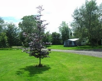 Mill Hill Farm Caravan & Campsite