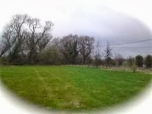 Moss Hagg Farm Campsite