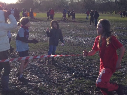 Hadrians Wall Caravan & Camp Site