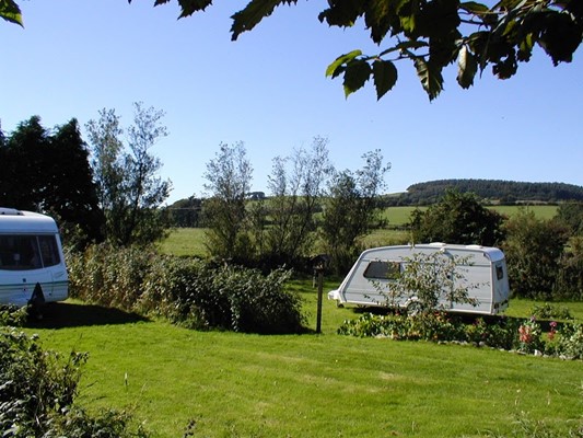 Beeswing Caravan Park