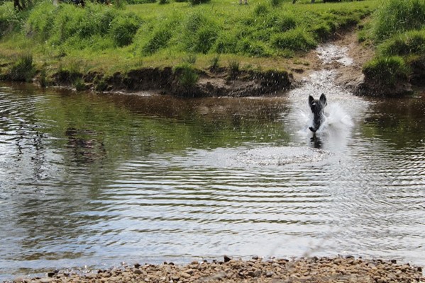 Border Forest Holiday Park