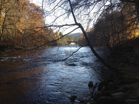 Blair Castle Caravan Park